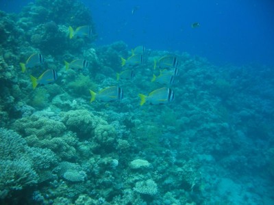 IMG_0031.jpg